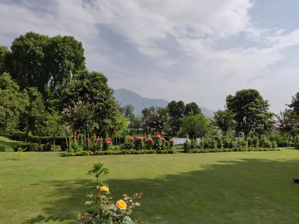Photo of A lost Paradise# Srinagar by Harshita Jain
