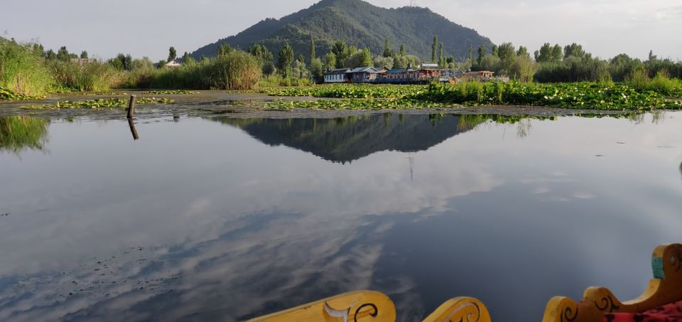 Photo of A lost Paradise# Srinagar by Harshita Jain