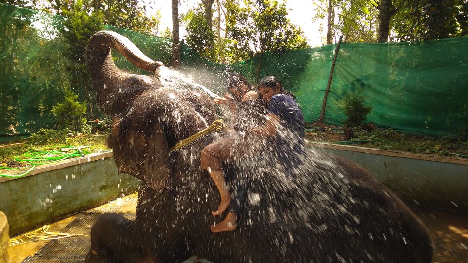 Photo of Kerala Tour With Itenary by Namrata Vora