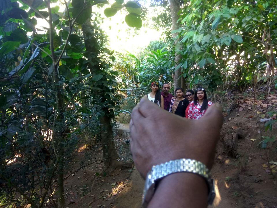 Photo of Kerala Tour With Itenary by Namrata Vora