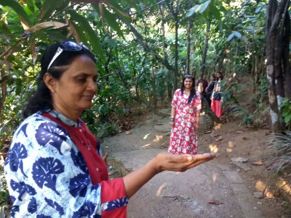 Photo of Kerala Tour With Itenary by Namrata Vora