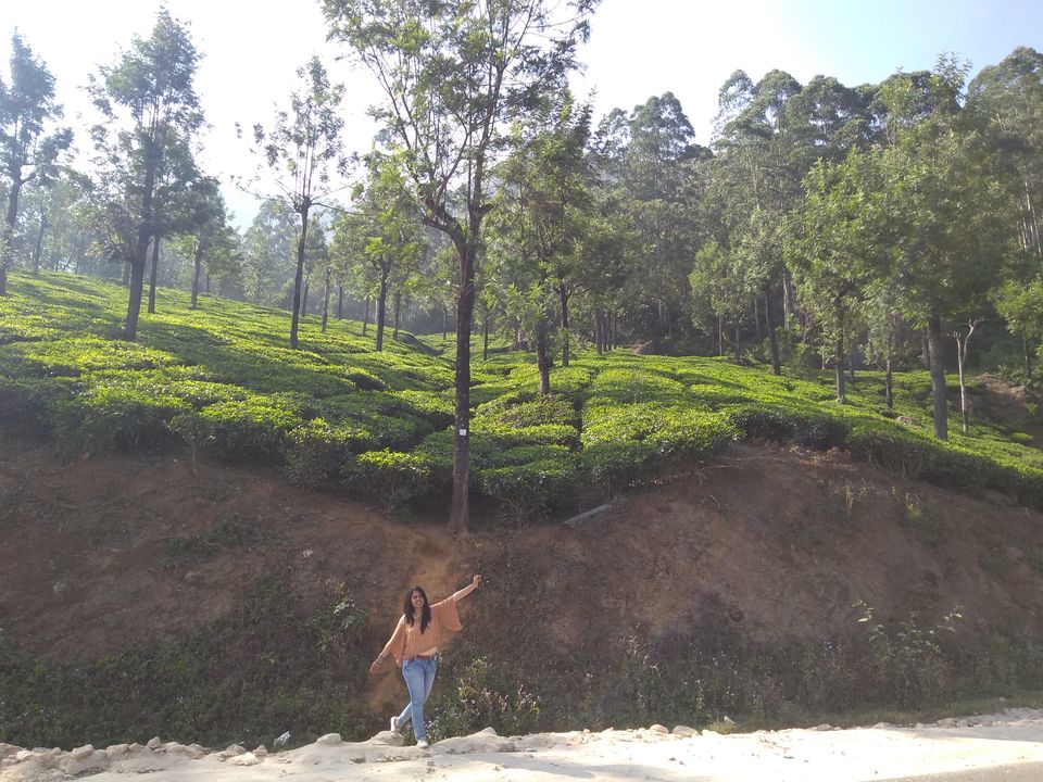 Photo of Kerala Tour With Itenary by Namrata Vora