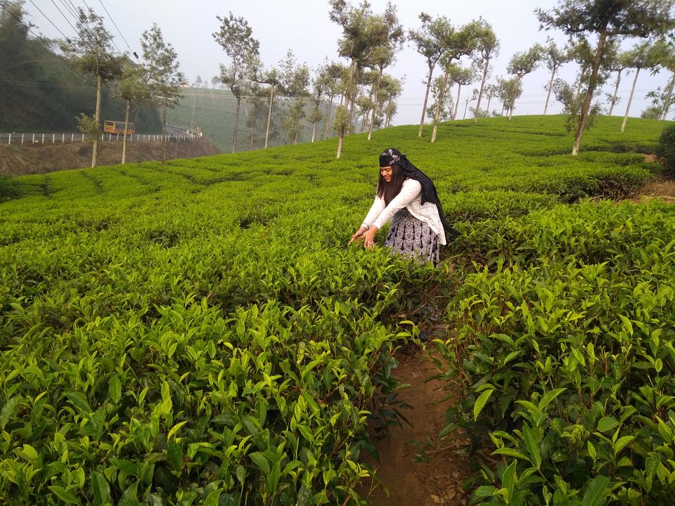 Photo of Kerala Tour With Itenary by Namrata Vora