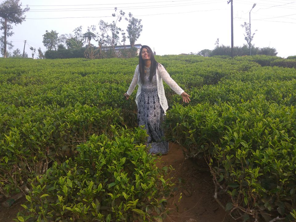 Photo of Kerala Tour With Itenary by Namrata Vora
