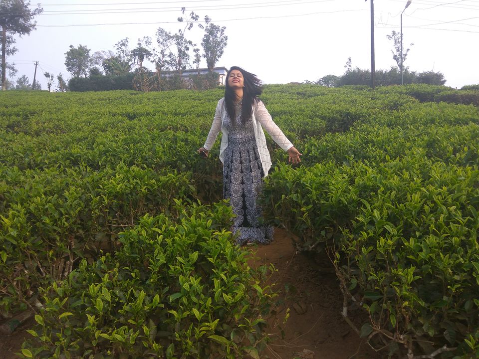 Photo of Kerala Tour With Itenary by Namrata Vora