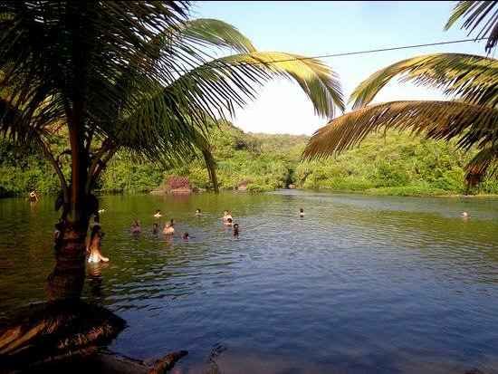 Photo of Tripping with Hippies in Arambol, Goa: Astonishing details you should know by Manoj T