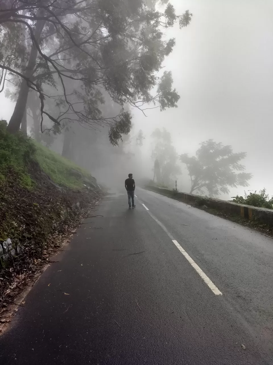 Photo of Valparai by Maddy Gupta