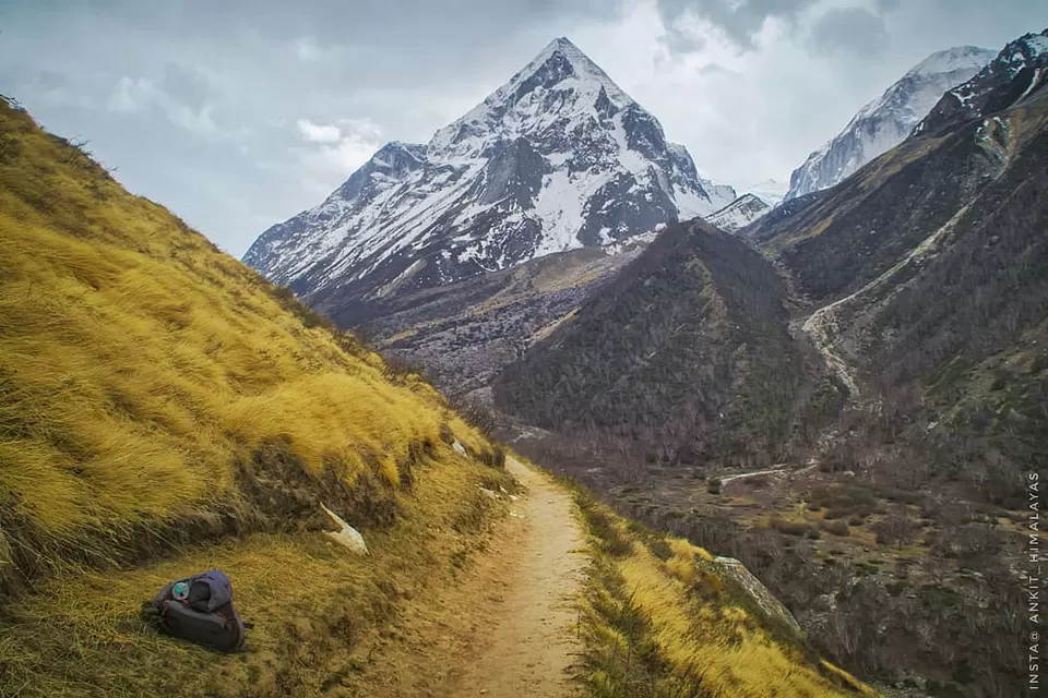 Photo of Bhojbasa, Uttarakhand by Ankit Verma