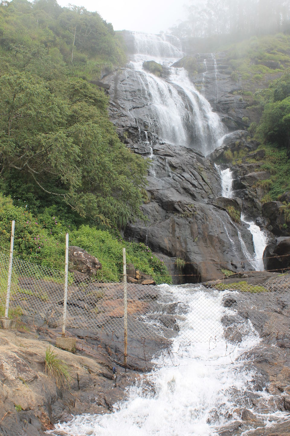 Photo of Thekkady, Kumily, Kerala, India by Jyotin Prachand