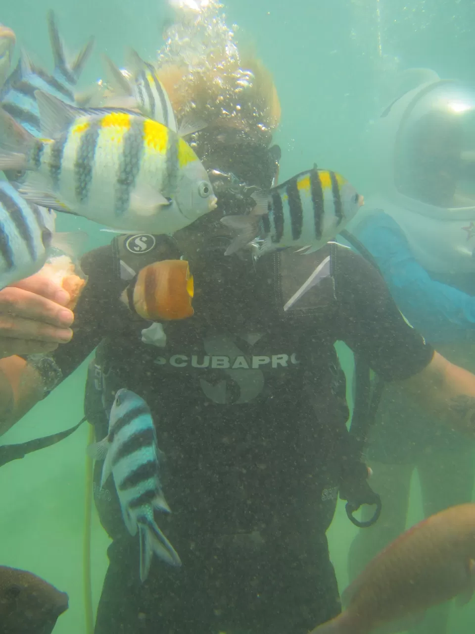 Photo of 3 days trip to bali #BeyondTheBorder by sagar baral