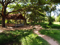 Photo of Royal Palace, Phnom Penh, Phnom Penh, Cambodia by Claire Bartha