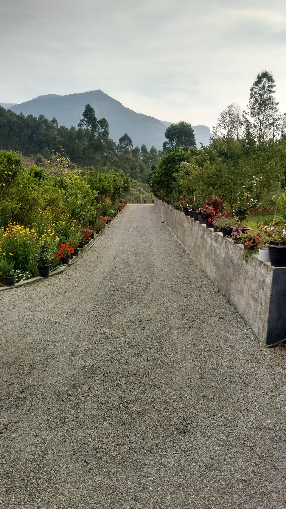 Photo of RAINFOREST KANTHALLOOR ORCHARD, rainforest orchard, Kanthalloor, Kerala, India by Karthika Krishnan
