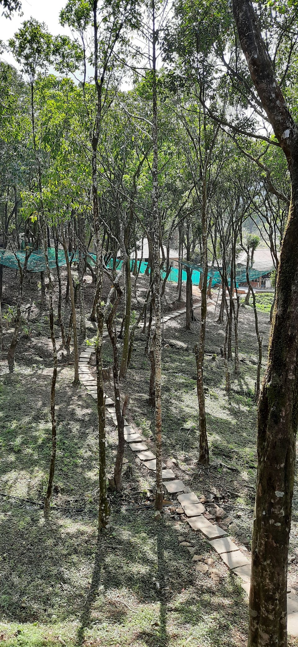 Photo of Stone Valley Resorts, Sakleshpur, Karnataka, India by Karthika Krishnan