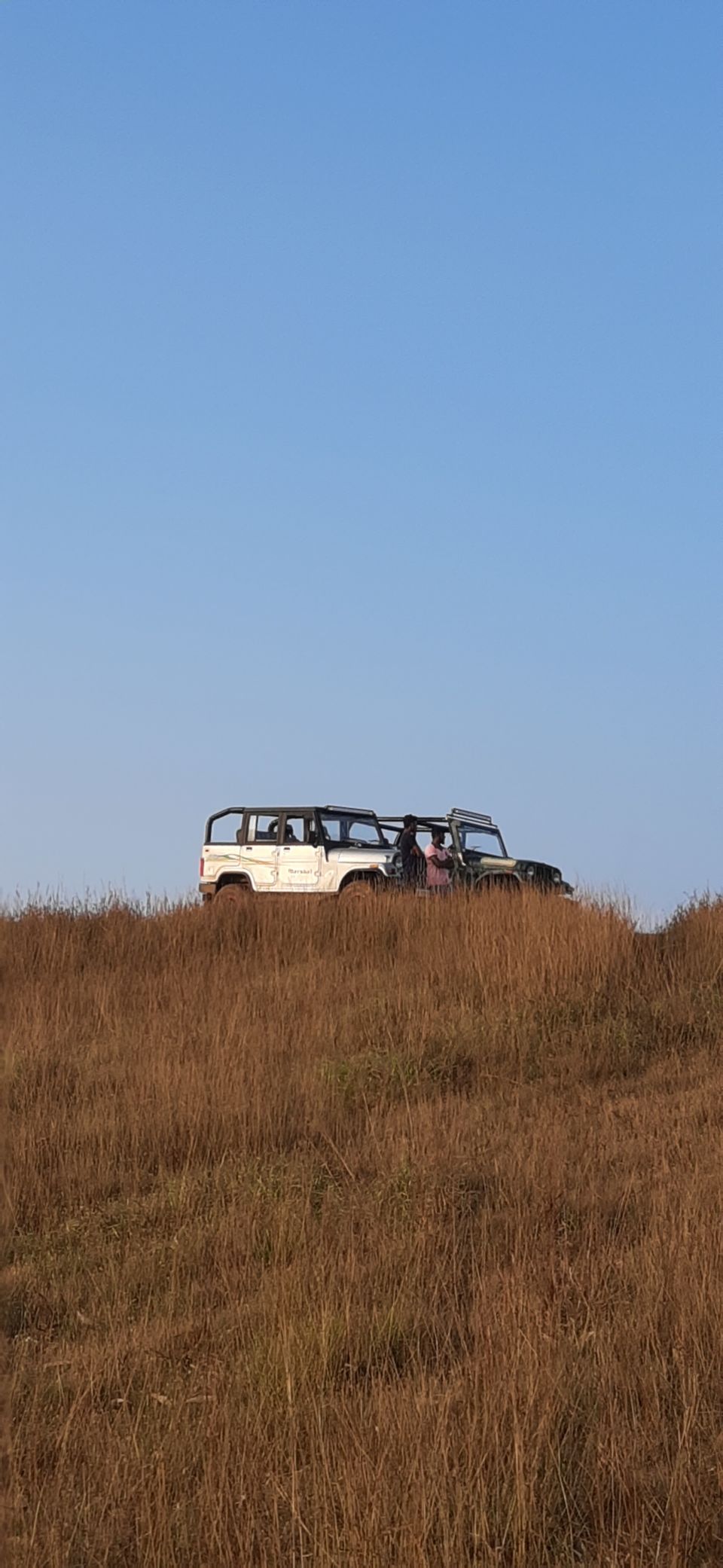 Photo of Stone Valley Resorts, Sakleshpur, Karnataka, India by Karthika Krishnan
