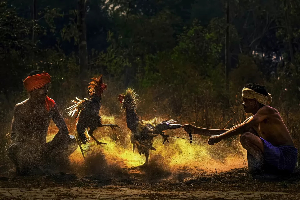 Photo of Kondagaon, Chhattisgarh, India by Shibasish Saha