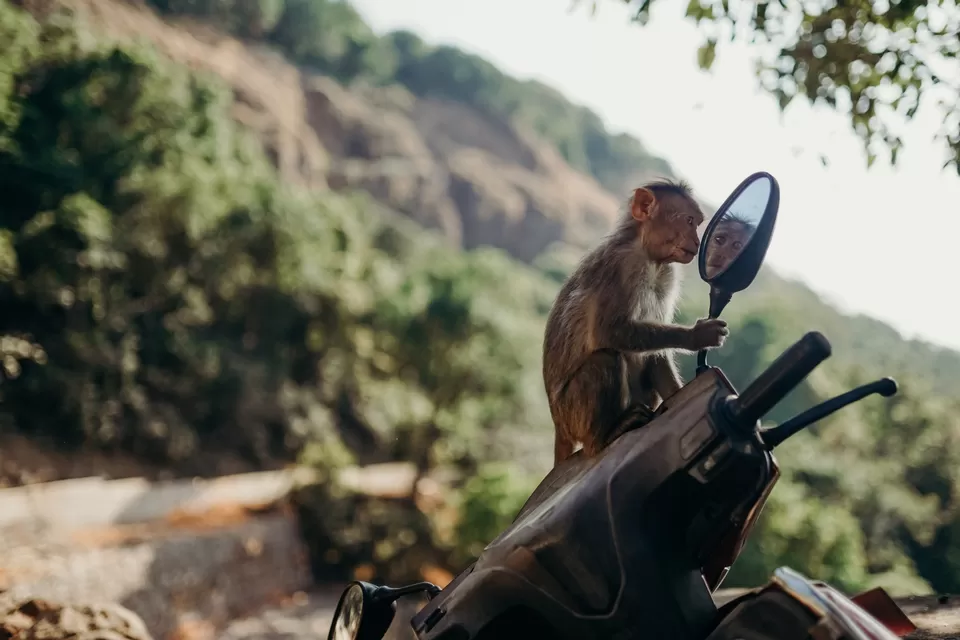 Photo of बाइक राइडर्स के लिए रोमांचक रहेगा चूलगिरी का सफर🏍️ by Yadav Vishal