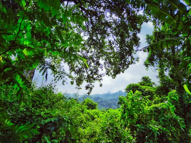 Photo of प्रकृति का अनछुआ खजाना : धारचूला by Yadav Vishal