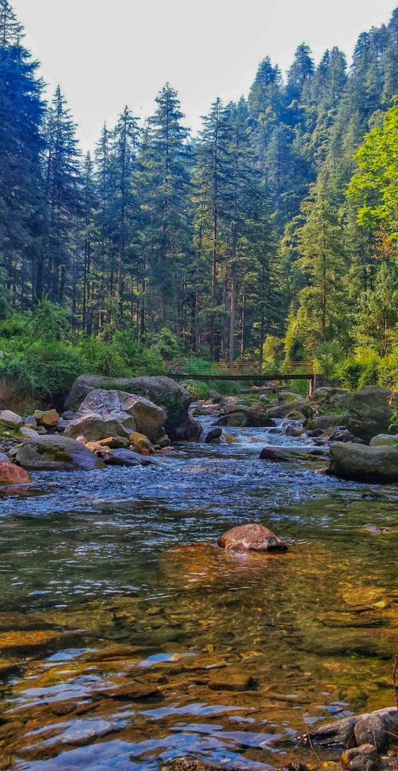 Photo of जीभी गांव में देखने को मिलती है हिमाचल की अनछुई खुबसूरती by Yadav Vishal