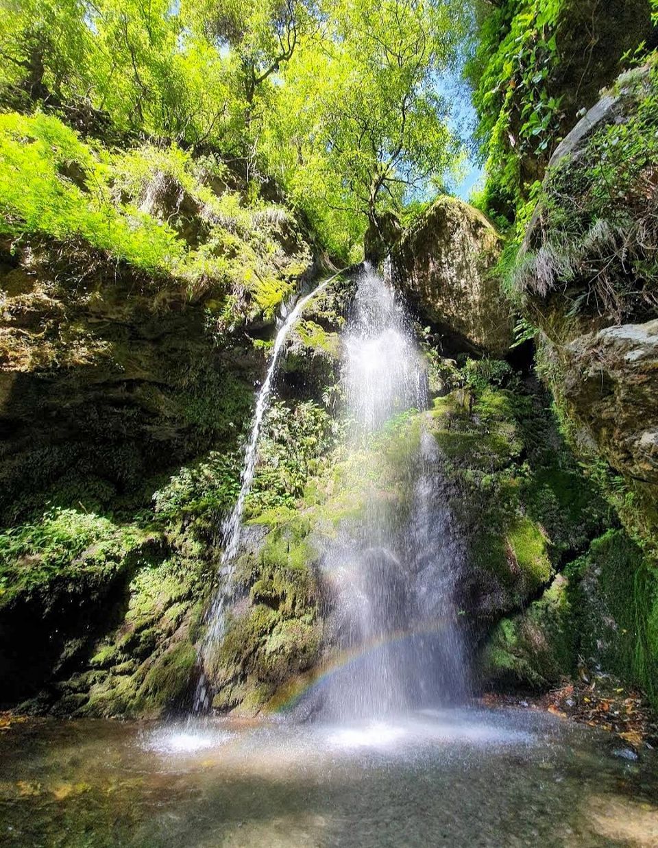 Photo of जीभी गांव में देखने को मिलती है हिमाचल की अनछुई खुबसूरती by Yadav Vishal