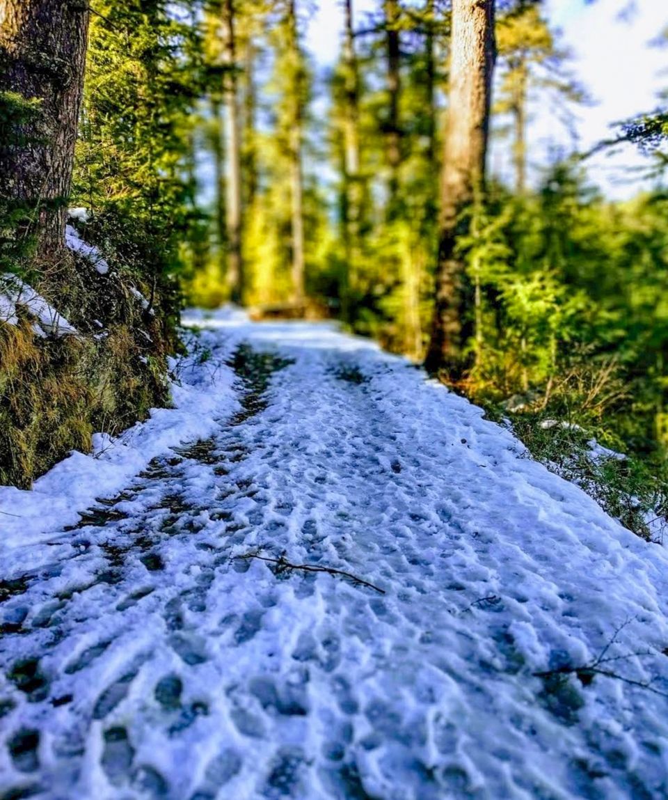 Photo of जीभी गांव में देखने को मिलती है हिमाचल की अनछुई खुबसूरती by Yadav Vishal