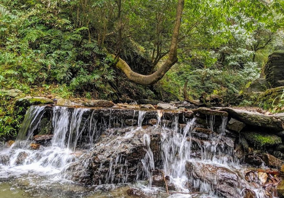 Photo of जीभी गांव में देखने को मिलती है हिमाचल की अनछुई खुबसूरती by Yadav Vishal