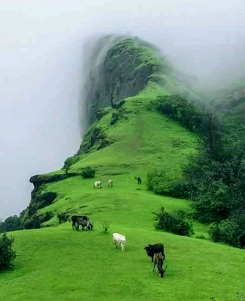 Photo of पश्चिम बंगाल का कुरसेओंग,हनीमून कपल के लिए हैं एक परफेक्ट डेस्टिनेशन by Yadav Vishal