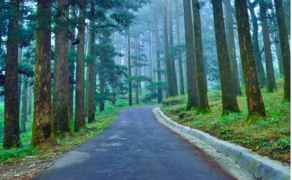 Photo of पश्चिम बंगाल का कुरसेओंग,हनीमून कपल के लिए हैं एक परफेक्ट डेस्टिनेशन by Yadav Vishal