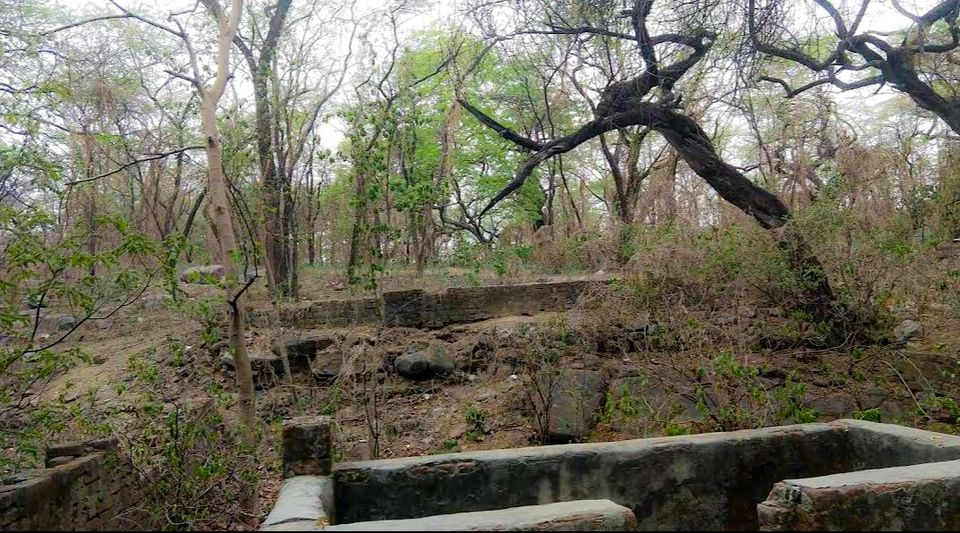 Photo of दिल्ली के करोल बाग़ में भी छुपा हैं एक भूतिया किला, जहां शाम 5 बजे के बाद हैं जाने की पाबंदी by Yadav Vishal