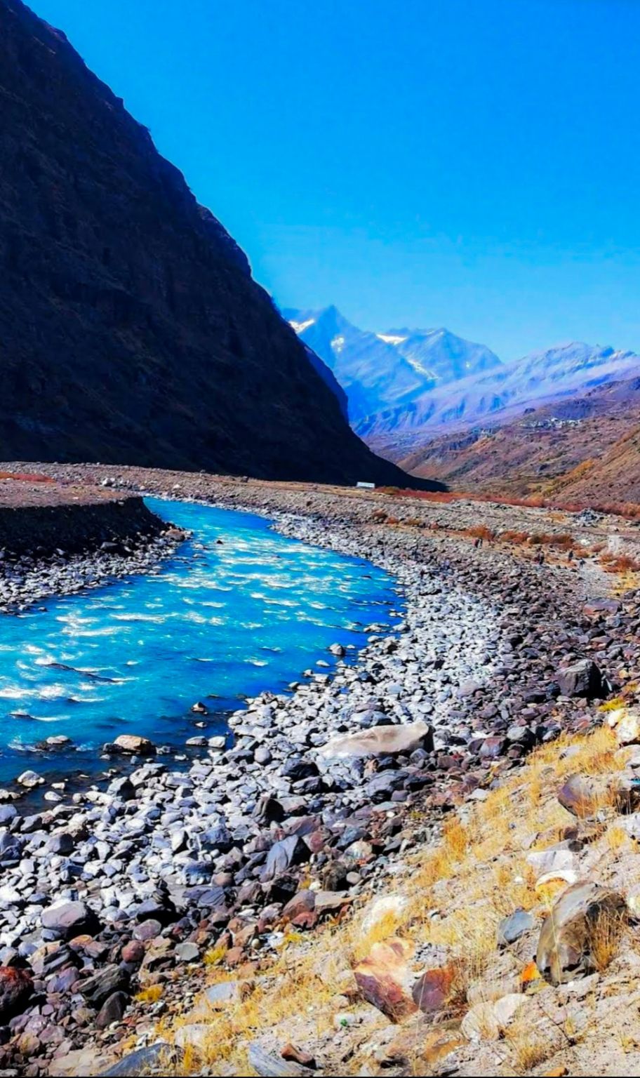 Photo of Sissu by Yadav Vishal