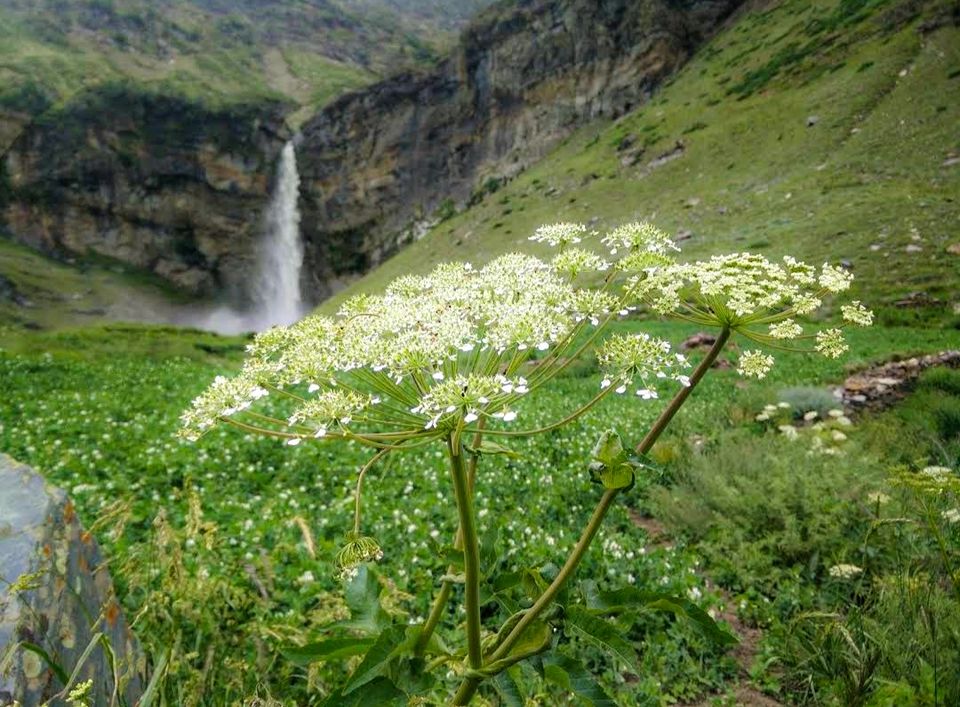 Photo of Sissu waterfalls by Yadav Vishal