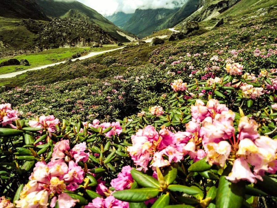 Photo of भारत के उत्तरी भाग में स्थित एक ऐसी जगह है जहाँ स्वर्ग पृथ्वी से मिलता है by Yadav Vishal
