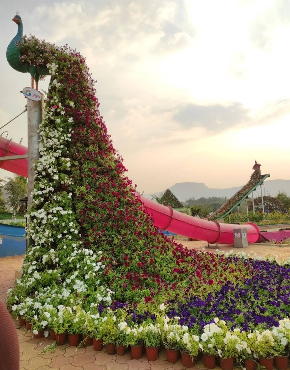 Photo of इस विंटर कीजिए नासिक फ्लावर पार्क की सैर, यहां हैं पूरी गाइड लाइन by Yadav Vishal