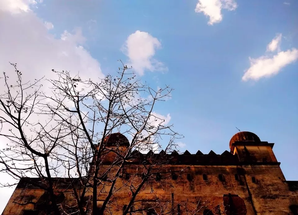 Photo of मुगल और राजपूत शैली के तर्क पे बना हैं भोपाल का ताजमहल by Yadav Vishal