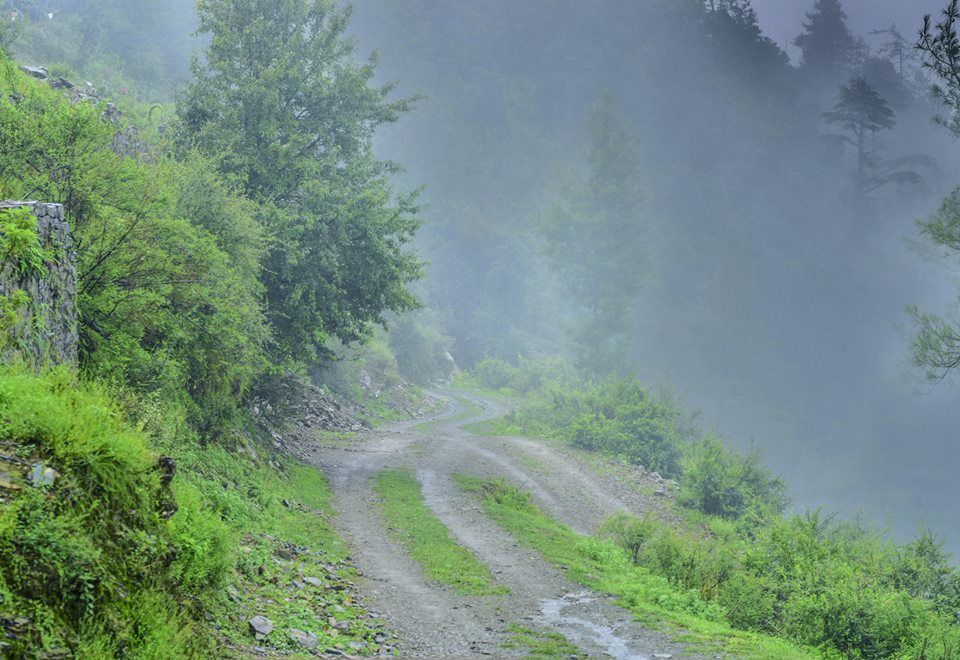 Photo of Chail-Koti-Shimla! 6/8 by Shubham Goel