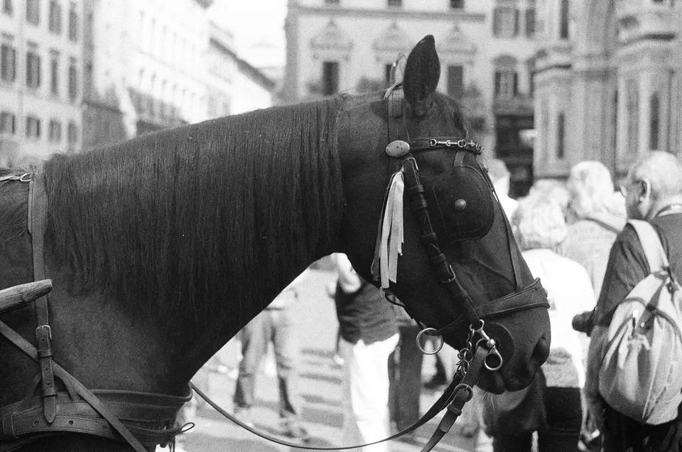 Photo of Florence By Nataliuccia