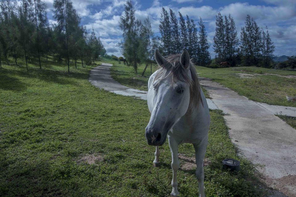 Photo of Pano Villa, a Mini Switzerland Just 3 Hours Away From Bangkok by Aparna Sharma
