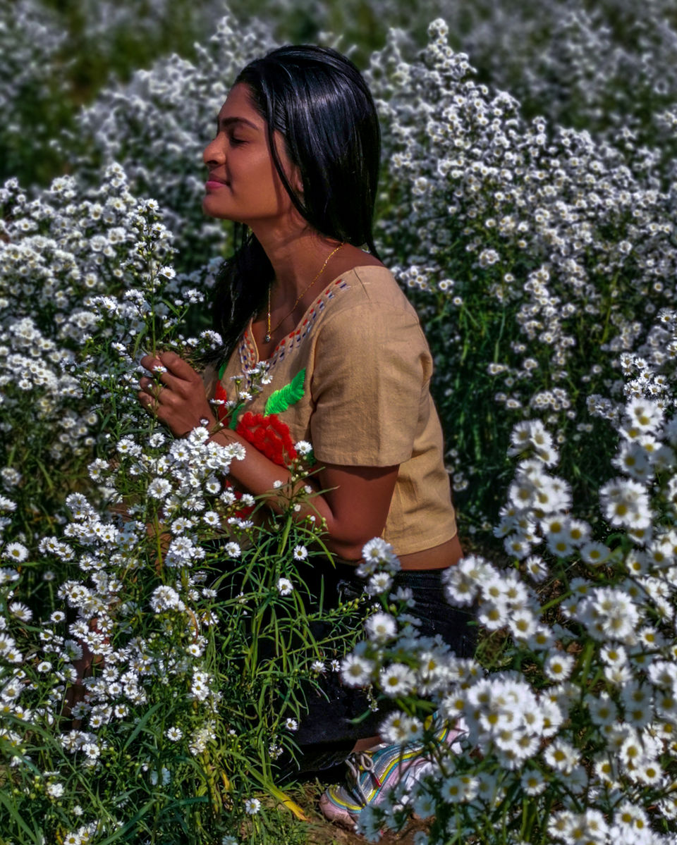 Photo of Flowers of Every Colour: This Farm in Chiang Mai Is Every Instagrammers Dream Come True! 3/5 by Aparna Sharma