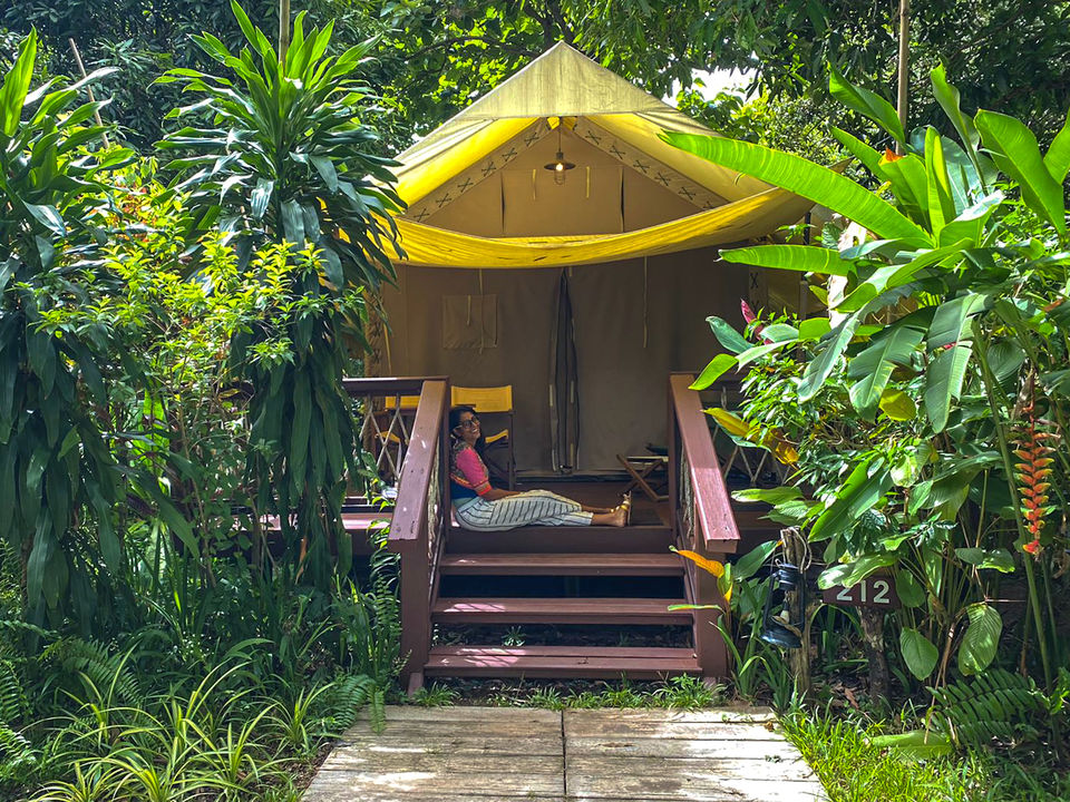 Photo of As a Thai Local, Here's Why I think Your First Post-COVID Trip Should Be to the Land of Smiles by Aparna Sharma