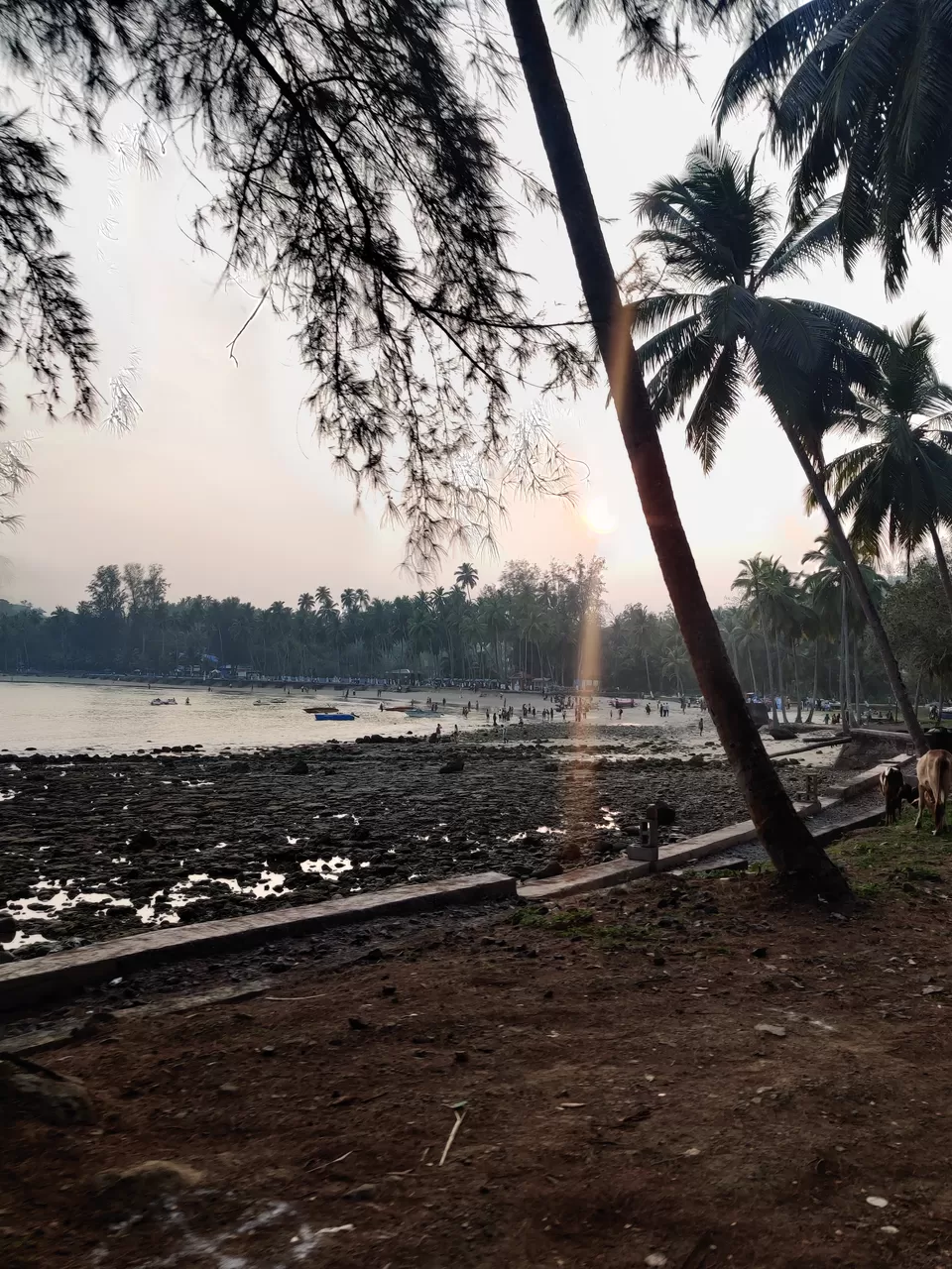 Photo of Corbyn Cove Beach, Port Blair, Andaman and Nicobar Islands, India by Vishnu Dutta