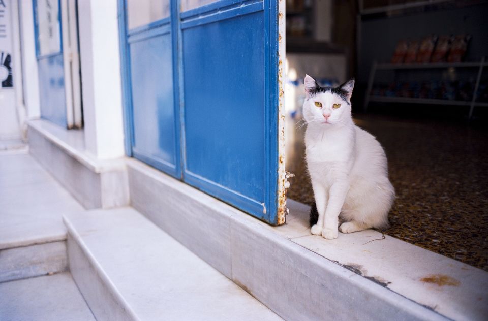Photo of My first trip to Greece and meeting monks 2/5 by Kate