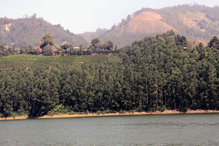 Photo of Munnar by Rumki Sengupta