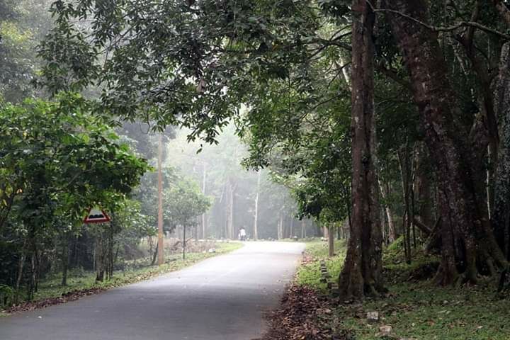 Photo of Mesmerising Kerala Part I by Rumki Sengupta