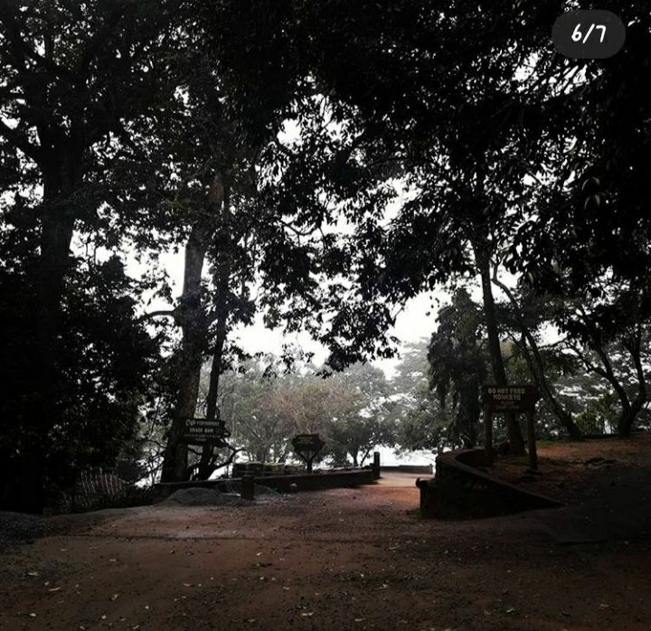 Photo of Mesmerising Kerala Part I by Rumki Sengupta