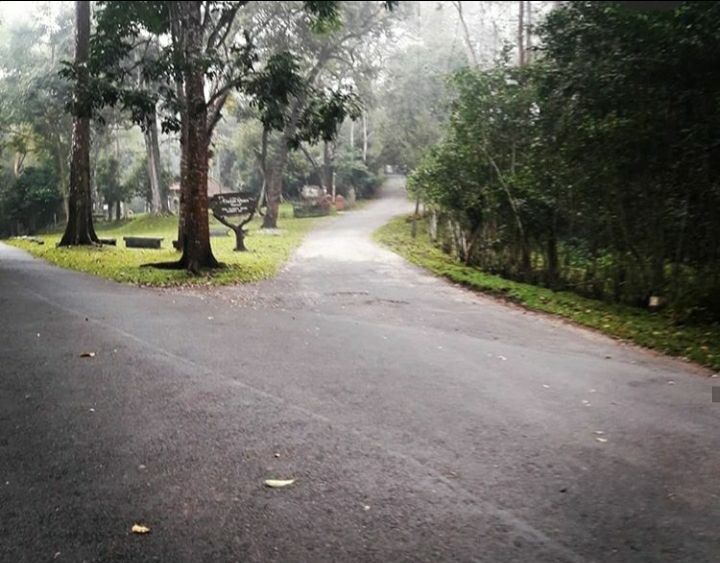 Photo of Mesmerising Kerala Part I by Rumki Sengupta