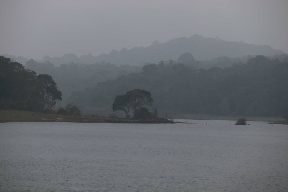 Photo of Mesmerising Kerala Part I by Rumki Sengupta