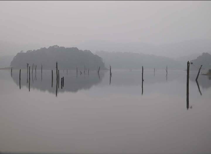 Photo of Mesmerising Kerala Part I by Rumki Sengupta