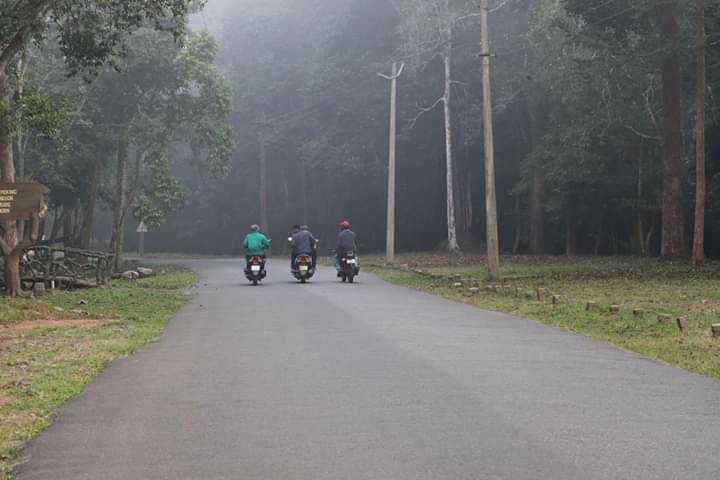 Photo of Mesmerising Kerala Part I by Rumki Sengupta