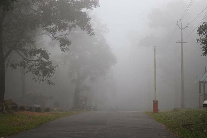 Photo of Mesmerising Kerala Part I by Rumki Sengupta