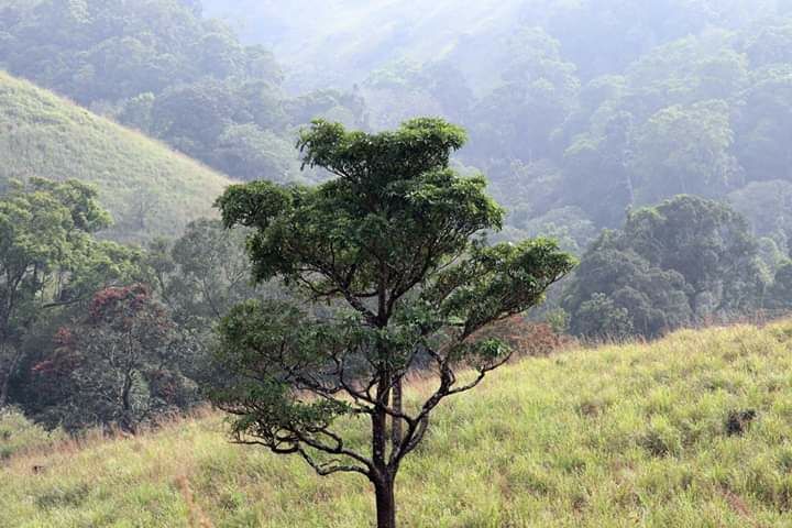Photo of Mesmerising Kerala Part I by Rumki Sengupta