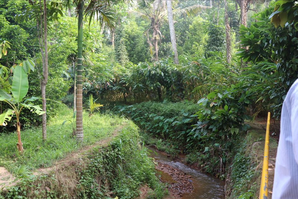 Photo of Munnar by Rumki Sengupta